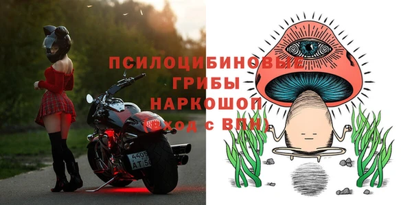 прущий лед Вязьма