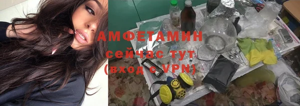 прущий лед Вязьма